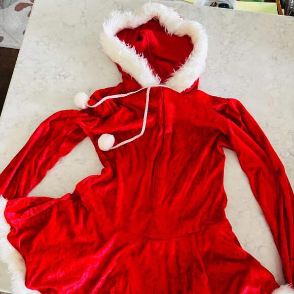 Dreamgirl Sleigh Belle Costume | Mrs Claus | Size Large | Santacon - Picture 2 of 3